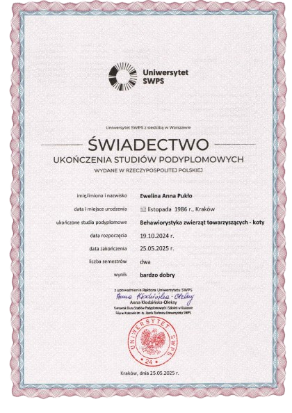Świadectwo ukończenia studiów podyplomowych z zakresu behawiorystyka zwierząt towarzyszących - koty