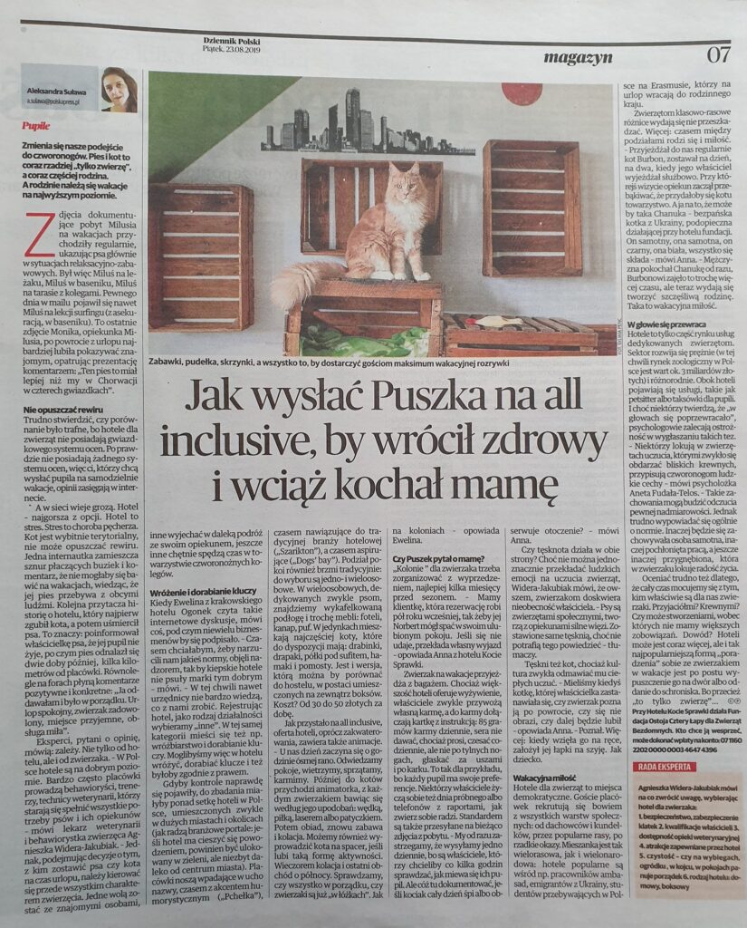 Artykuł w gazecie o opiece nad kotami Artykuł prasowy o opiece nad kotem podczas wyjazdu właściciela