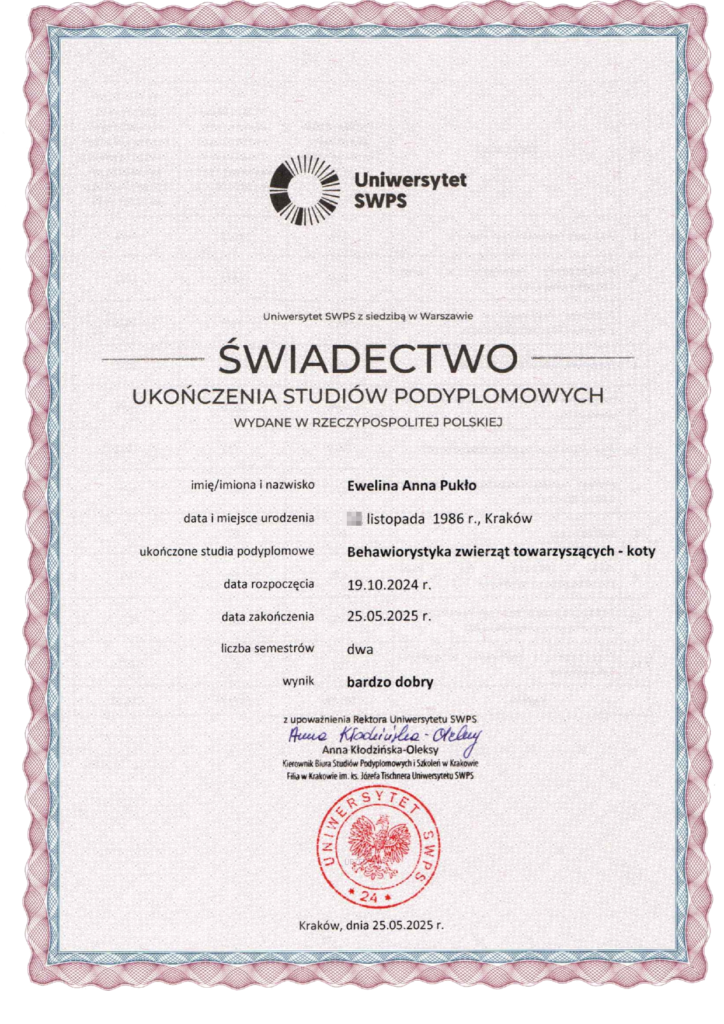 Świadectwo ukończenia studiów podyplomowych z zakresu behawiorystyka zwierząt towarzyszących - koty